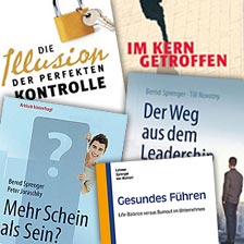 Schriften und Veröffentlichungen - Dr. Bernd Sprenger, Berlin, Coaching und Organisationsentwicklung